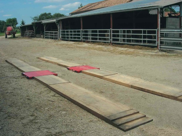 AGRICULTURE WEIGHING TRACK